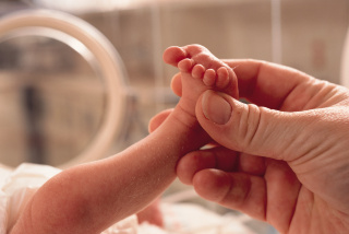 A premature baby's foot being held by an adult hand.