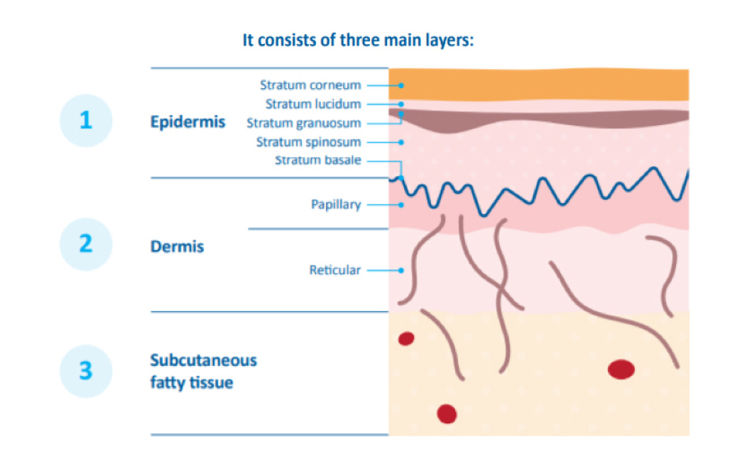 Why is a pure and gentle wipe with minimal ingredients so important for babies skin?  The unique properties of baby and infant skin