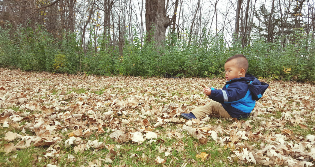 A toddler playing in the field