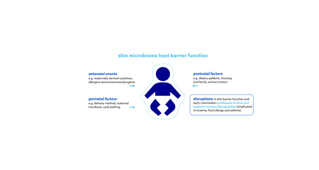 From birth, barrier function and the water handling properties of the stratum corneum are continually optimising and the properties that make infant skin unique are thought to persist through the first 12 months of life2. Furthermore, the baby’s skin is less firmly attached than mature skin and has a higher propensity to increased trans epidermal water loss and reduced stratum corneum hydration, resulting in a less effective skin barrier function4,5,6.  Additionally, because the ratio between baby body surface to baby body weight is higher, topical agents are more readily absorbed and can therefore have a more pronounced effect on the baby’s skin4.  A baby’s skin is therefore more vulnerable to the environment than adult skin, and if not properly cared for, it becomes susceptible to dryness, conditions such as atopic dermatitis, nappy dermatitis, or even infections.  Development of baby skin microbiome  The skin microbiome protects us against invading pathogens, is involved in the development of our immune systems and breaks down natural products7.  Microbes and their metabolites affect development as early as in utero, with significant colonisation occurring at birth—babies born vaginally acquire bacteria that colonise the vagina and those born via caesarean section acquire those that are associated with the skin7,8,9. Over the first six weeks of life, these differences seen based on mode of delivery lessen and the infant’s skin microbiome evolves to reflect something similar to its mother’s with bacteria varying by body site10,11.      Evidence suggests that the development and maintenance of a diverse microbiome composition in infancy is crucial in promoting normal epithelial development and integrity, as well as shaping some of our immune responses.  Disruption of this process can influence the development of inflammatory conditions like food allergy and eczema12.  Everything that an infant touches, bathes in, breathes, eats and drinks has the potential to affect their microbiome and the establishment of immune pathways. Naturally, anything that comes into contact with the skin directly has an important impact on the developing microbiome including detergents, hygiene products, soaps, moisturisers, wipes and other personal care products, as well as the timing and frequency of bathing12.