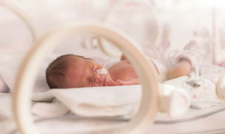 Premature baby in an incubator